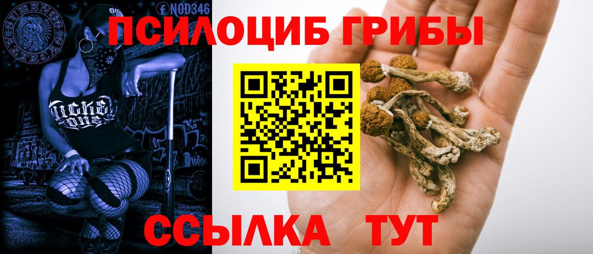 Сухой Лог  Псилоцибиновые грибы Psilocybe  Вход с VPN  Псилоцибиновые грибы Cubensis 